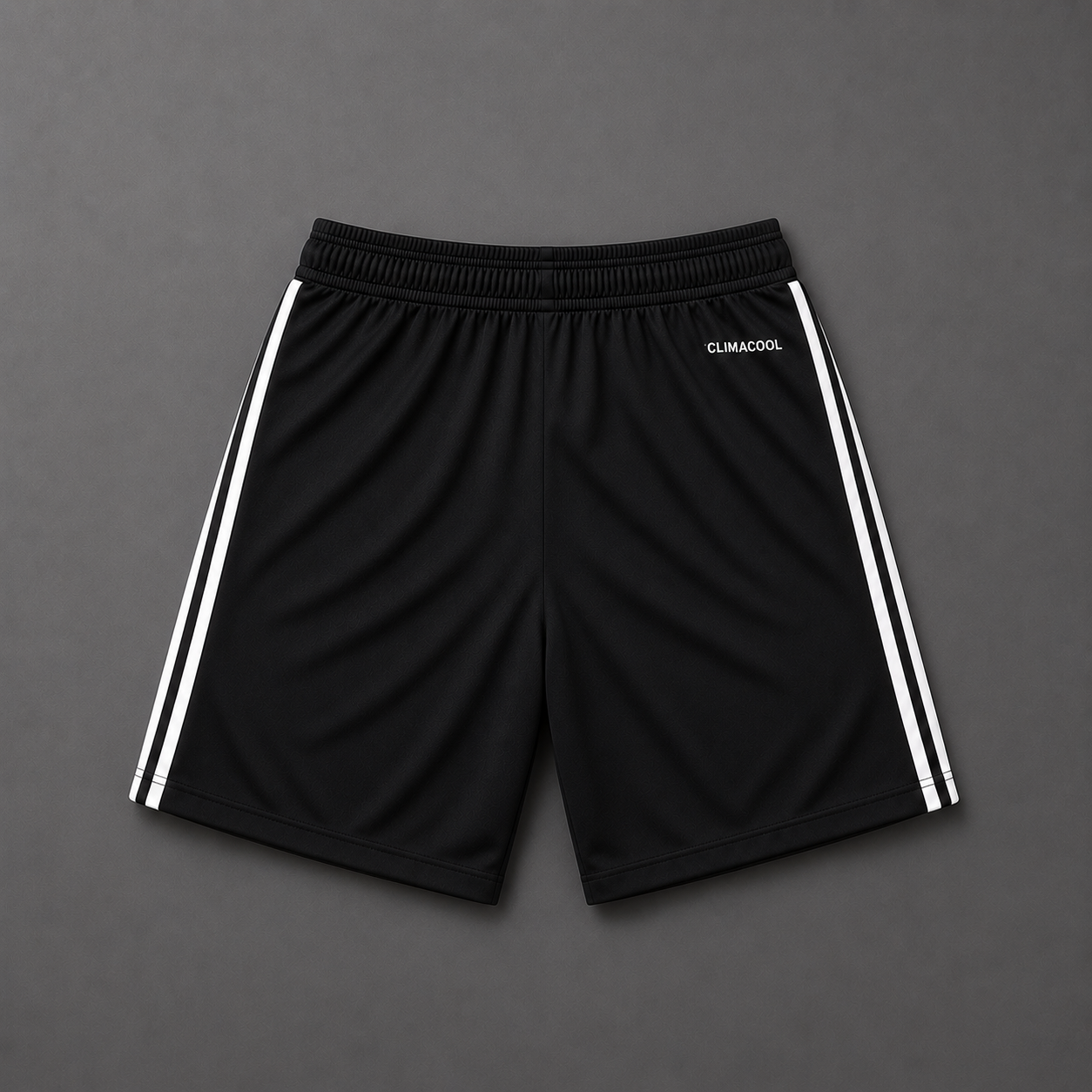 Argentina 2026 Away Shorts