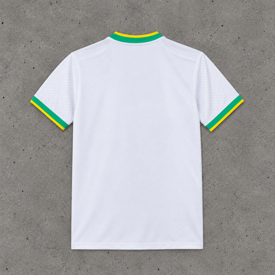 BRAZIL SPECIAL BIRD CONCEPT JERSEY